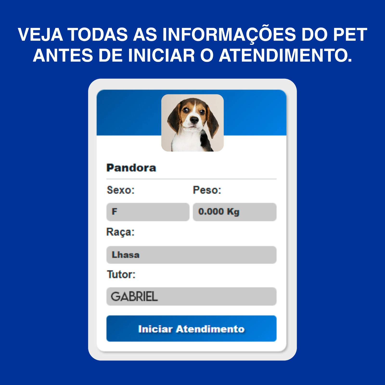 Tenha controle dos agendamentos e pacotes